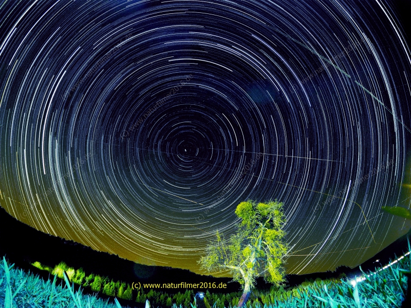 Sternenspuren / Startrials am nördlichen Himmel